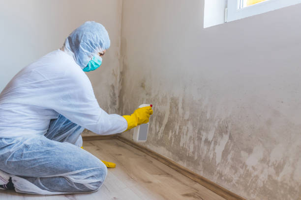 Mold Remediation specialist working in Wendell