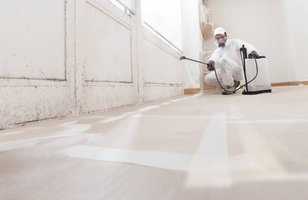 Black mold remediation team in Wendell